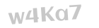 Captcha - grafischer Zugangscode